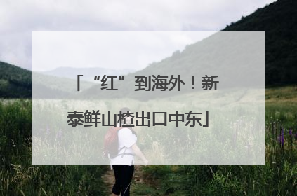 “红”到海外！新泰鲜山楂出口中东